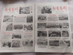 新会画刊17份（含试刊号）