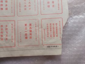 新会画刊17份（含试刊号）