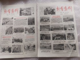 新会画刊17份（含试刊号）