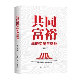 正版图书  共同富裕战略实施与落地 于海军 光明日报出版社