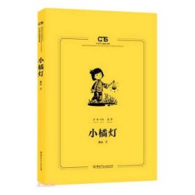 正版图书  中小学生阅读书系：小橘灯  （5-6年级适用） 冰心 湖