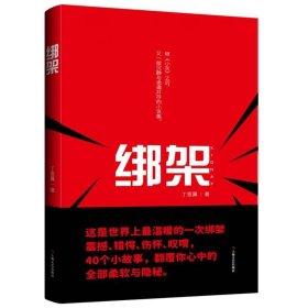 正版图书  绑架 丁恩翼 上海文艺出版社