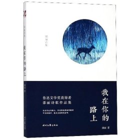 正版图书  我在你的路上：邵丽诗集 未知 时代文艺出版社