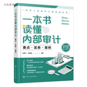 正版一本书读懂内部审计：要点·实务·案例9787122459152王雁飞