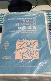 义务教育三（四）年制初中生物教学挂图配人教社版教科书生物第一册（上）：细菌、真菌【6幅】