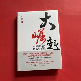 大崛起：中国经济的增长与转型（赵燕菁教授 新著，揭示城市空间战略与经济增长问题，王建、林毅夫、余永定、华生联袂推荐）