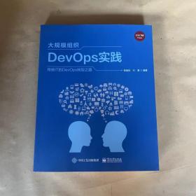 大规模组织DevOps实践