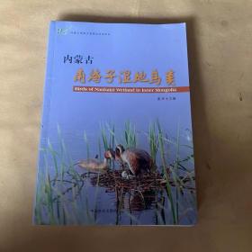 内蒙古南海子湿地自然保护区：内蒙古南海子湿地鸟类