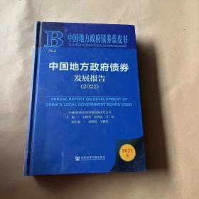 中国地方政府债券蓝皮书：中国地方政府债券发展报告（2022）