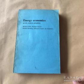 energy economics growth，resources and policies 能源经济学 英文版