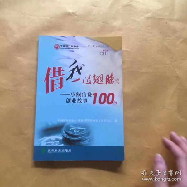 借我一双翅膀.2:小额信贷创业故事100例