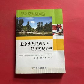 北京少数民族乡村经济发展研究