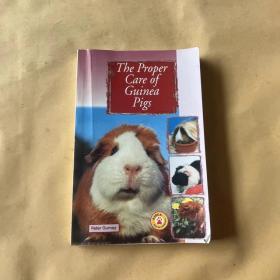 The proper care of Guinea pigs