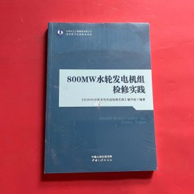 800MW 水轮发电机组检修实践