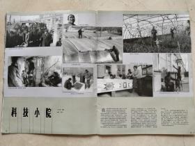 冶金部第三冶金建设公司、李书臣。雷锋战友、高原之鹰、严于律己。婺源茶道：兴于唐宋、明清渐成风气，巴拿马金奖。书坛陈奇。东沟县黄土坎镇赵家岭村、辽宁北镇城王大宇、喀左蒙古族自治县大城子乡、辽宁省桦子劳动管教支队、满族民宅、大连金州苹果之乡。辽宁史料、婺源茶叶资料。纸有损，品相见图。卷寄。