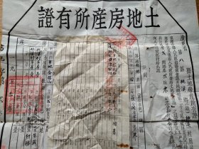 1953年高要8区桃溪乡桃溪村。虫孔折痕，品相尺寸见图。印多、附小票1张。