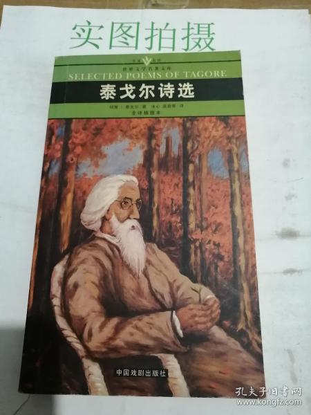 名家名译世界文学名著文库：泰戈尔诗选（全译插图本）