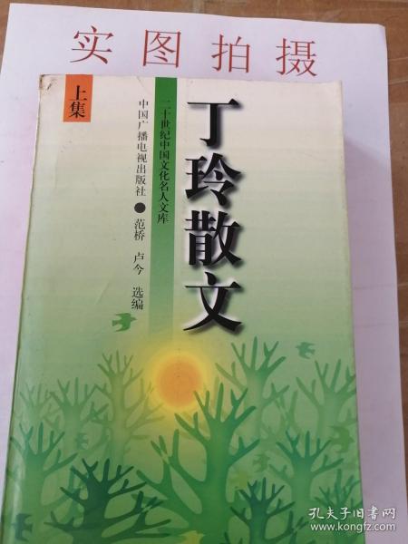 丁玲散文(上下)