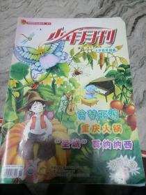 少年月刊小学低年级版2013.5