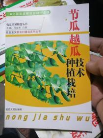 节瓜越瓜种植栽培技术