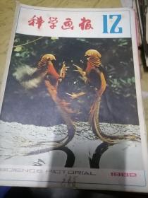 科学画报1982.12.