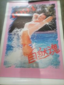1994年挂历：自然魂 美女泳装 13张全 76x52cm