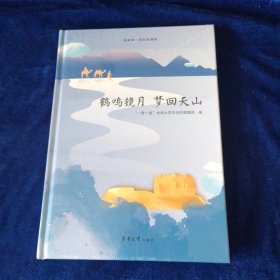 鹤鸣镜月·梦回天山