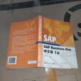 SAP Business One中文版7.0