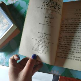 阿拉伯伊斯兰文化史 第一册