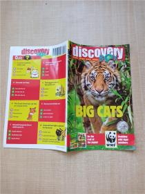 【外文原版】discovery Box NO.361 January 2019 BIG CATS