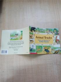 【外文原版】Animal Tracks  Written and illustrated by Arthur Dorros