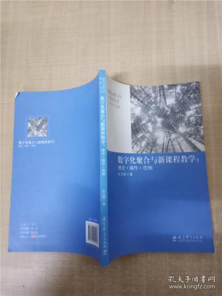 数字化聚合与新课程教学 : 理论·操作·范例