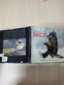 【外文原版】Fascinating Birds Markus Varesvuo【精装】【书衣受损】