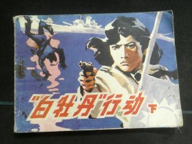 “白牡丹”行动（下）