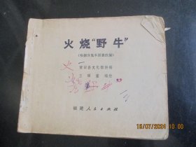 火烧野牛