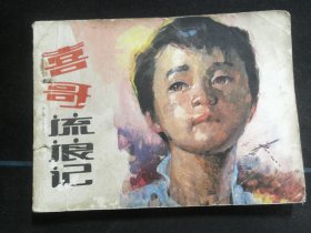 喜哥流浪记