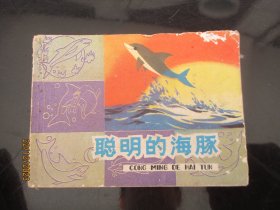 聪明的海豚