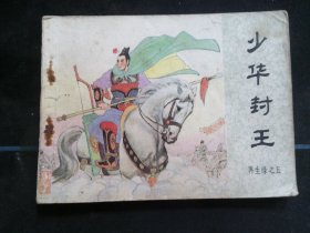 少年封王—再生缘之五