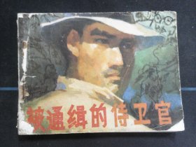 被通缉的侍卫官