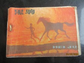 黑狗