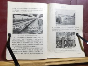 D2135   国外养鸡动态－第一辑  全一册   上海科学技术情报研究所  1973年4月  一版一印