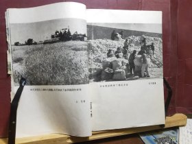 D1622  大山战歌   全一册  插图本    作家出版社  1962年1月    一版一印