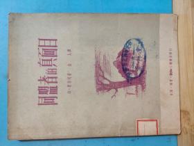 P0311  同盟者的真面目  全一册  插图本  1950年6月  生活·读书·新知三联书店  一版一印  仅印7000册