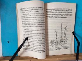 P0810   植物发育的特性与环境  全一册   1955年12月  财政经济出版社  一版一印  仅印  仅印  2000册