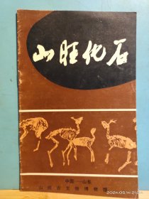 P3363  山旺化石     全一册  彩色  图文本  中国山东山旺古生物博物馆