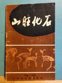 P3364  山旺化石     全一册  彩色  图文本  中国山东山旺古生物博物馆
