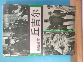 P0607    临危受命—— 丘吉尔·二次大战三巨头·三  全一册 ·插图本  1991年2月  世界知识出版社  一版五印  154000册