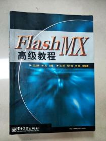 EI2015326 Flash MX高级教程