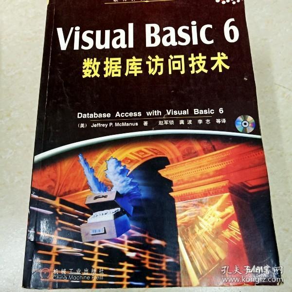 Visual Basic 6数据库访问技术