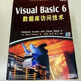 Visual Basic 6数据库访问技术